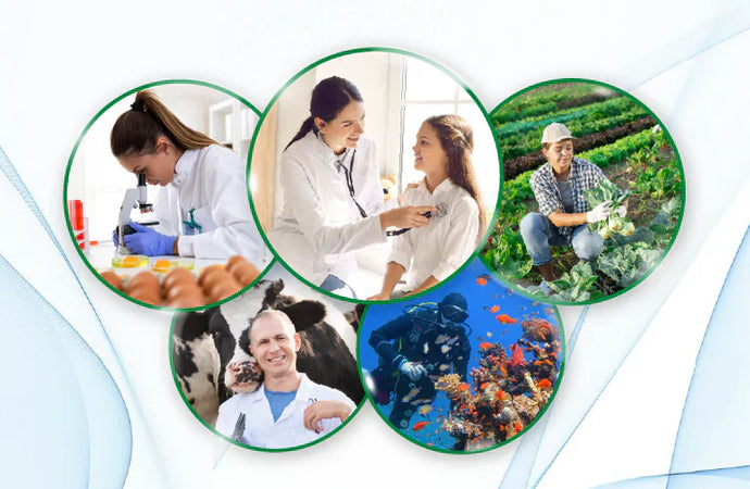 Mapping the RNome Frontier