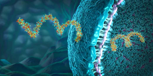 <i>Nature</i> and Zymo Research: Showcasing the RNA Sequencing Revolution with Novel RiboFree Technology