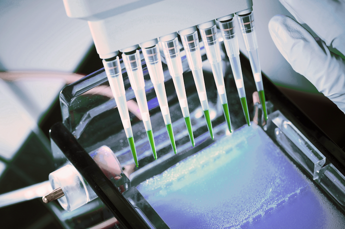 How to Recover More DNA from Agarose Gels