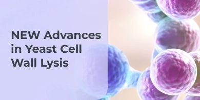 Zymolyase Ultra: Unveiling the Revolution of Yeast Lysis