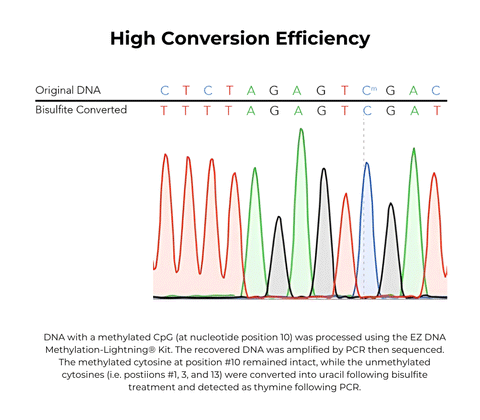 EZ-96 DNA Methylation-Lightning MagPrep