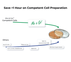 Mix & Go! Competent Cells - JM109