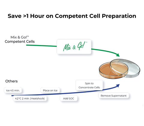 Mix & Go! Competent Cells - HB101