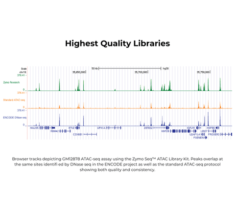 Zymo-Seq ATAC Library Kit