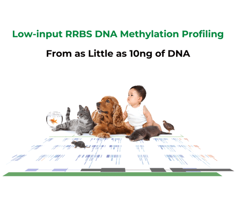 Zymo-Seq RRBS Library Kit