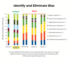 ZymoBIOMICS Microbial Community Standard