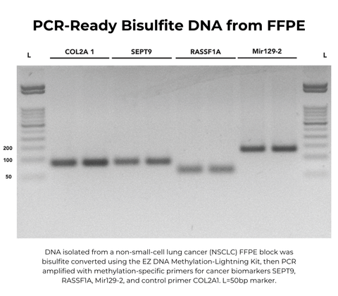 EZ-96 DNA Methylation-Lightning MagPrep