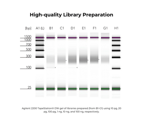 Pico Methyl-Seq Library Prep Kit