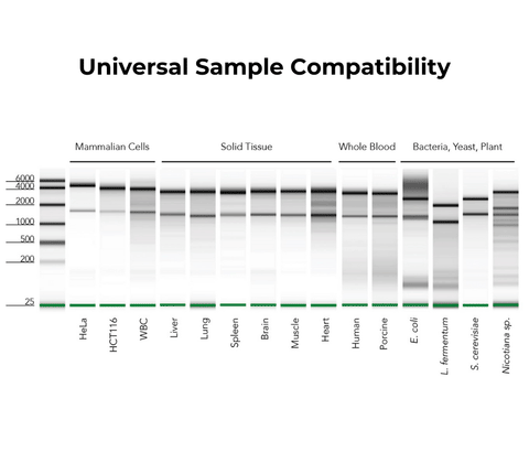 Quick-RNA Miniprep Plus Kit