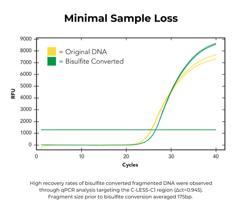 EZ-96 DNA Methylation-Lightning Kit