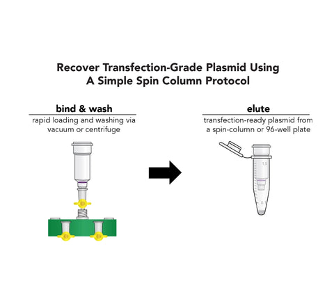 ZymoPURE Plasmid Miniprep Kit