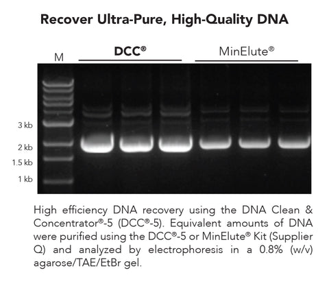 DNA Clean & Concentrator-500