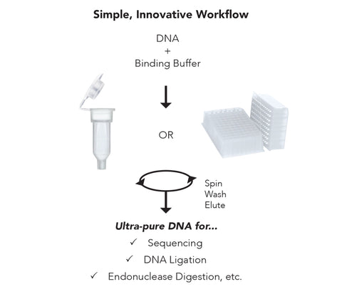 ZR-96 DNA Clean-Up Kit