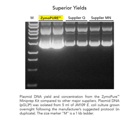 ZymoPURE II Plasmid Midiprep Kit