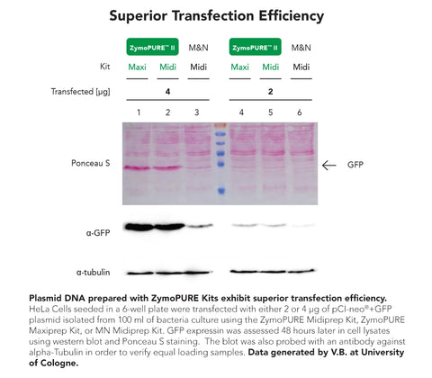 ZymoPURE II Plasmid Maxiprep Kit