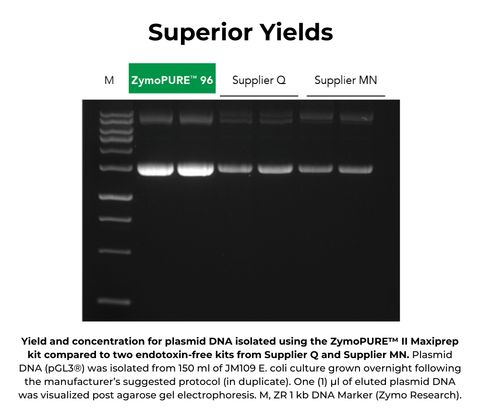 ZymoPURE II Plasmid Midiprep Kit