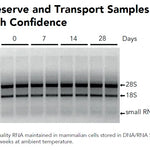 DNA/RNA Shield