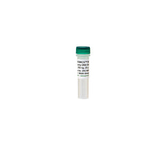 ZymoBIOMICS® Microbial Community Isolated DNA Standard