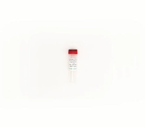 ZymoBIOMICS Microbial Community DNA Standard II (Log Distribution)