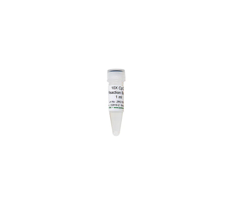 For use with CpG methylase for complete in vitro methylation of DNA for methylation analysis