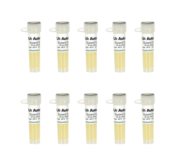 XJb (DE3) Autolysis Mix & Go! Competent Cells | ZYMO RESEARCH – Zymo Research International