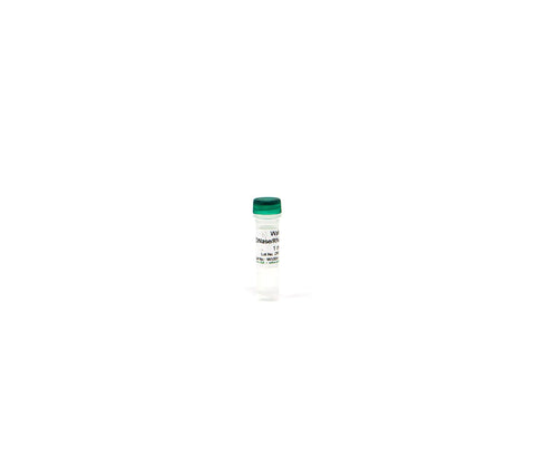 DNase RNase Free Water 1 mg